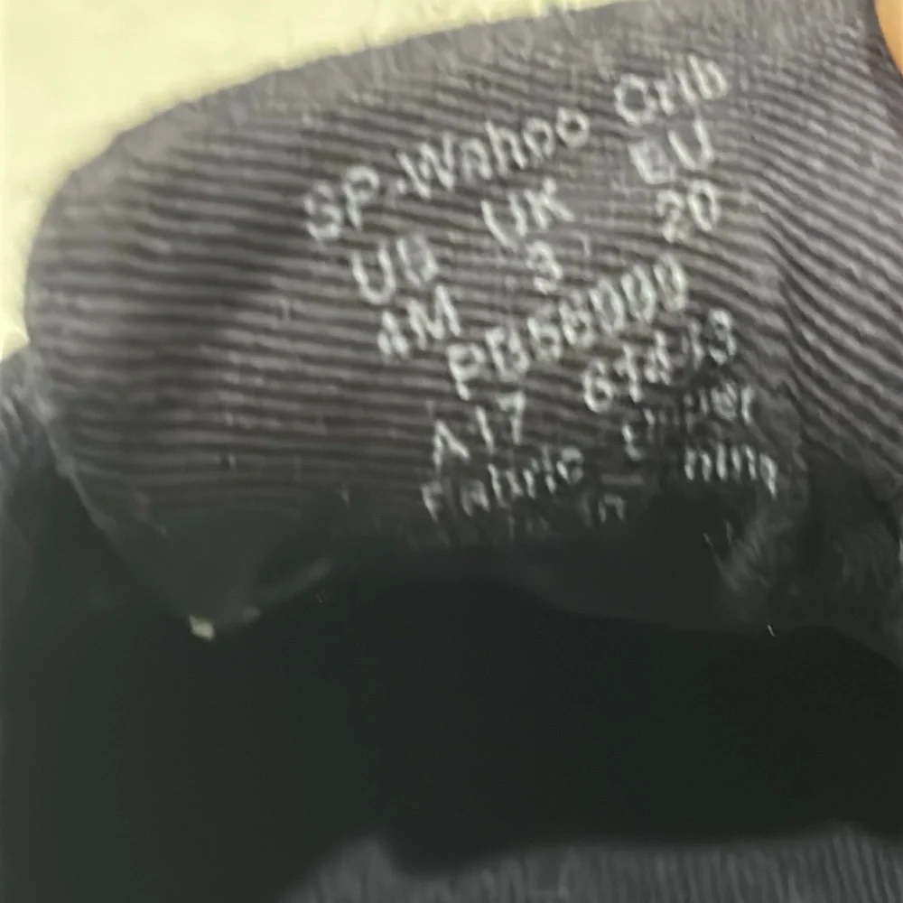 Sperry questions leave